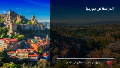 الدراسة في جورجيا