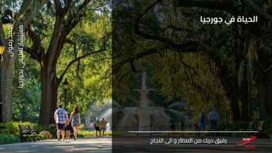 الحياة في جورجيا
