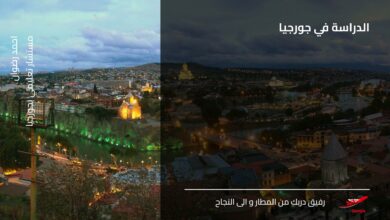 الدراسة في جورجيا